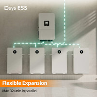 Deye RW-F16 Power Wall 15kw Baterai Lifepo4 Lithium Ion 51.2V 314AH 15kwh 16kwh Baterai Powerwall Terpasang di Dinding