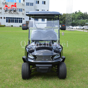 Voiturette de golf électrique 4x4, buggy tout-terrain pour la chasse, voiture club, capacité de 2 à 8 personnes, <span class=keywords><strong>transport</strong></span> spécial, 48V - Product Image 3
