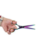 Ciseaux de coiffure professionnels pour salon de coiffure, ciseaux de coupe de cheveux pour barbier, acier inoxydable, revêtement en titane coloré