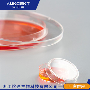 Placas de Petri Angentech de 90 mm de grosor y alta transparencia para cultivo de células bacterianas en laboratorio - Product Image 5