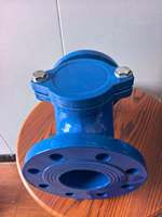Clapet anti-retour à bille DIN OEM d'usine PN10 PN16 GGG50 en fonte ductile à brides pour système de pompage