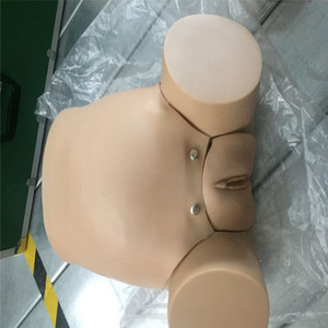 F52 Medical <span class=keywords><strong>Science</strong></span> Uterus Model Teaching Model Gynecological Simulator para Estudantes Educação Fertilidade Mecanismo Parto - Product Image 4