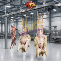 Chaîne de traitement clé en main en acier inoxydable pour abattoir halal de moutons, équipement de convoyage pour carcasses de mouton