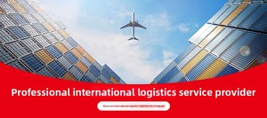 Servicio de Logística en Shenzhen, Foshan, Guangzhou y Ningbo, Almacenamiento, Consolidación, Agente de Transporte Marítimo, Contenedor de 20 pies - Product Image 6
