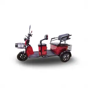 Economic Recreational Electric Tricycle For Passengers Motorized Adult Tricycle Suppliers