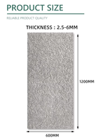 Carreaux de porcelaine Rinsun Limestone-RG - Texture imitation pierre - Finition mate - 600x600mm - Carreaux muraux antidérapants pour extérieur et salle de bain