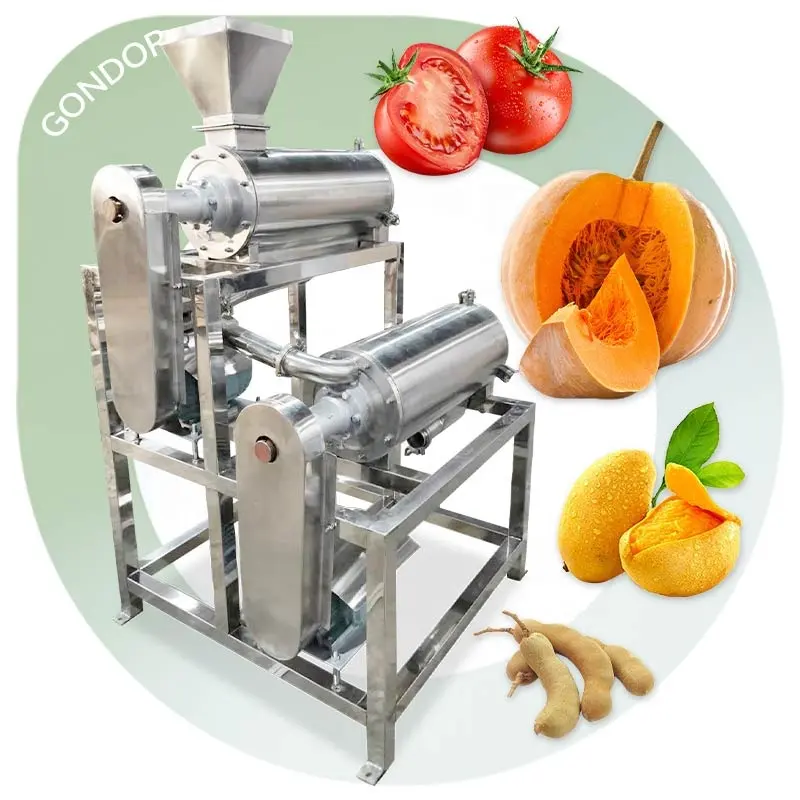 Batidor de extracción de puré Fruta Máquina de pulpa de coco de calabaza de acero inoxidable Despedida de mango y separación de semillas