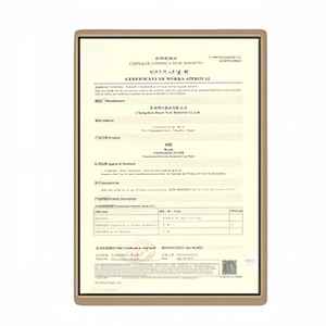 Tricycle à pédales aquatique durable et anti-corrosion pour enfants et adultes, jeux aquatiques de divertissement sur lac et rivière - Product Image 6