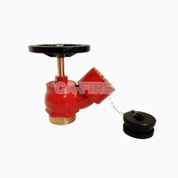 Robinet d'incendie oblique en laiton de haute qualité 65 mm, à bride 2,5 pouces, pour système de protection incendie CA