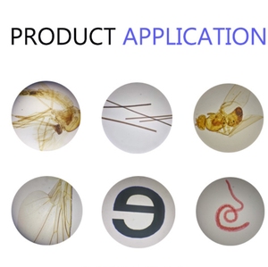 Kính hiển vi C-T2Ap nghiêng 45 độ đầu pose kính hiển vi trường học cụ thể 40x Độ phóng đại giải phẫu kính hiển vi - Product Image 6