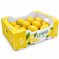PP Gegolfde kunststof fruit- en groentekisten op maat en met opdruk, open bovenkant voor supermarktdisplay