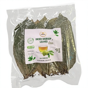 Hojas de guanábana secas de la mejor calidad para preparar té, 100 gramos, envasadas al vacío, venta al por mayor, entrega rápida desde Vietnam - Product Image 1