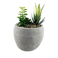 Pot Bunga Semen Berkualitas Tinggi, Dekorasi Balkon Taman, Pot Tanaman Indoor, Grosir, Ukuran Besar, Dijual
