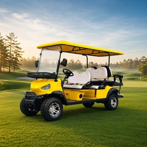 Voiturette de golf électrique 6 places (4+2) pour hôtel-resort et club de golf, homologuée pour la route, couleur et logo personnalisables (OEM) - Product Image 1