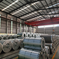Fournisseur de bobines d'acier galvanisé pour les industries de la construction, des infrastructures et de la fabrication