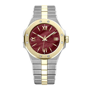 <span class=keywords><strong>Montre</strong></span> de <span class=keywords><strong>luxe</strong></span> pour femme avec logo personnalisé OEM ODM, marque privée, acier inoxydable, cadran en nacre avec votre propre logo - Product Image 4
