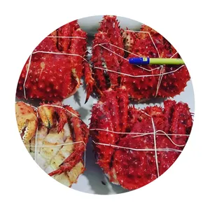 热卖冷冻螃蟹海鲜优质高蛋白冷冻海鲜批发新鲜冷冻海鲜准备出口