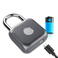 Mini cadenas en laiton étanche à empreinte digitale avec alarme magnétique chinoise pour salle de sport