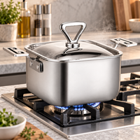 WOXIANG Marmite carrée multi-usages 16 cm en acier inoxydable triple épaisseur, compatible avec toutes les plaques de cuisson, chauffage uniforme