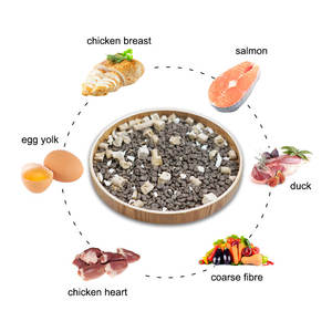 Cibo per Gatti YOZA <span class=keywords><strong>Halal</strong></span> Senza Cereali ad Alto Contenuto Proteico Biologico per la Salute della Pelle e del Pelo in Sacchetto - 100% Naturale Prezzi Competitivi all'Ingrosso - Product Image 3