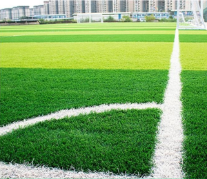 Cỏ nhân tạo thể thao sàn thảm cho phòng tập thể dục sử dụng SLED kéo Turf - Product Image 5