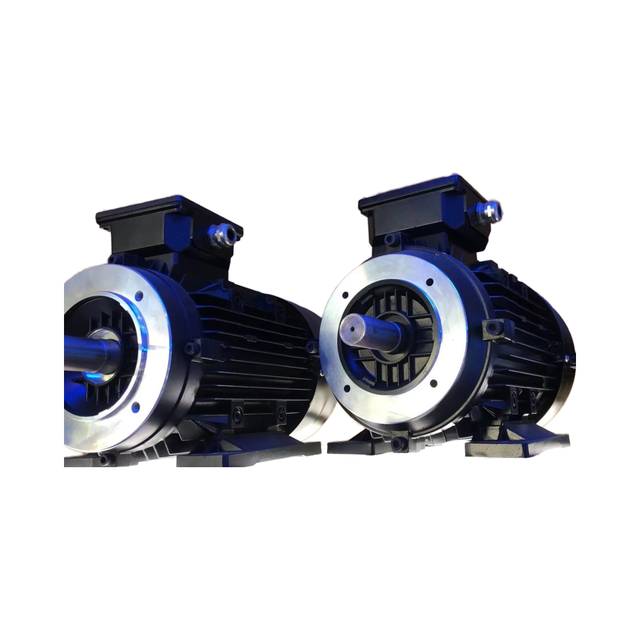 48V 1KW 1HP 65A 3000RPM Dual Shaft Brushless DC Electric Motor with Permanent Magnet Construction High Rotational Speed Motor
