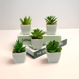 <span class=keywords><strong>Mini</strong></span> <span class=keywords><strong>Palmier</strong></span> Artificiel Réaliste Succulent Design De Luxe Mariage Étagère De Noël Décor De Bureau dans Un <span class=keywords><strong>Pot</strong></span> <span class=keywords><strong>En</strong></span> Plastique Blanc - Product Image 1