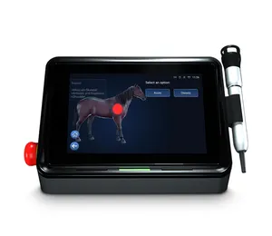 1064nm Laser Fysiotherapie Apparatuur Voor Revalidatie Van Paardensportblessures