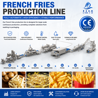 CE-gecertificeerde automatische productielijn voor frites, machine voor het maken van aardappelchips, industriële installatie voor de verwerking van diepvriesfrites