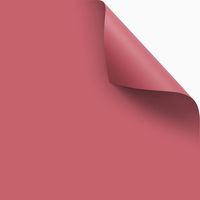 Style coréen couleur unie premier amour élégant enduit papier imperméable Macaron fleur Bouquet papier d'emballage cadeau matériel d'emballage