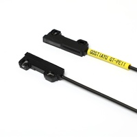 Sonde de détection de comptage par infrarouge à matrice rectangulaire, capteur à fibre optique à faisceau traversant de type régional, 24V, anti-EMI GT-PE11