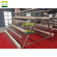 Cage à poulets galvanisée de type 3 niveaux 4 portes avec mangeoire pleine longueur et plateau à œufs pour ferme