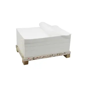 Dưới Cốc Giấy Ly Giấy Nguyên Liệu Cho Dùng Một Lần Cốc Giấy Trống Trắng - Product Image 5