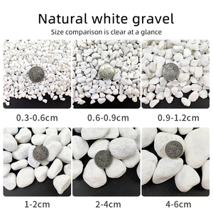 <span class=keywords><strong>Galets</strong></span> <span class=keywords><strong>blancs</strong></span> antidérapants de 3 à 60 mm pour pavage de jardin et aménagement paysager, pierres de balcon - Product Image 4