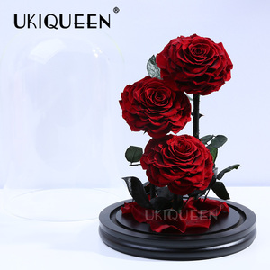 Rojo fresco rosa de la <span class=keywords><strong>belleza</strong></span> <span class=keywords><strong>eterna</strong></span> encantado siempre flores rosa en cúpula de vidrio - Product Image 5