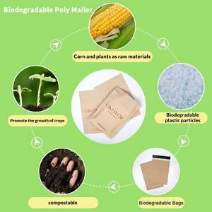 Bolsa de Correo Ecológica Compostable con Logotipo Personalizado, Bolsa de Envío de Ropa de Plástico Resistente, Bolsa de Correo Exprés - Product Image 5