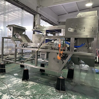 Machine de tri optique IA avec caméra intégrée pour le tri des formes, des fils et des blocs de circuits imprimés