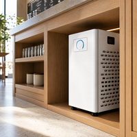 Refroidisseur d'eau sous évier compact en acier inoxydable pour cuisine et bar domestique