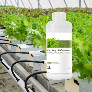 Hot Sale Microelement Water Soluble Fertilizer Organic Calcium Fertilizer with Mg