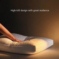 Oreiller en duvet de canard blanc en gros, garnissage haute densité, housse en coton respirant, qualité hôtelière douce, pour usage domestique et hôtelier, personnalisable