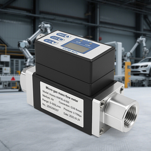 Đồng hồ đo lưu lượng nhiệt Đầu Ra Kép (Xung + 4-20mA) cho khí công nghiệp: không khí/Nitơ/Hydro - Product Image 4