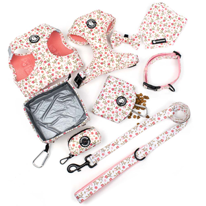 Set Pettorina per Cani Personalizzata con Motivo <span class=keywords><strong>Sprint</strong></span>, Collare Imbottito Morbido, Guinzaglio Premium e Porta Sacchetti per Escrementi - Product Image 2