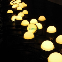 Lampu Hias 24V RGBW Pixel LED Titik Cahaya 3000K 4000K 6500K Merah & Putih Berbahan Aluminium & PC Sumber Cahaya YY-DG004