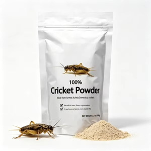 Poudre de protéines GRYLLUS BIMACULATUS de haute qualité, partiellement dégraissée, mélange alimentaire/boisson à base d'<span class=keywords><strong>insectes</strong></span> <span class=keywords><strong>comestibles</strong></span> thaïlandais, pour adultes, en sachet - Product Image 2