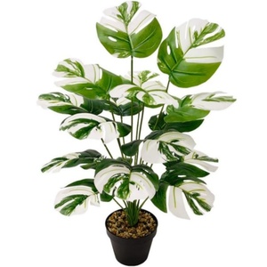 Feuille de Tortue Artificielle Hyphose Blanc Vert Feuilles Bonsaï <span class=keywords><strong>Sans</strong></span> <span class=keywords><strong>Pot</strong></span> pour Chambre Maison Jardin Bureau Ornement Bureau Porche Décoration - Product Image 1