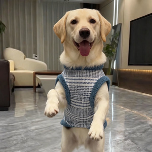 Chaqueta Gruesa y Cálida para Perros Grandes, Ropa de Invierno de Dos Patas para Golden Retrievers, Huskies y Samoyeds, Venta al Por Mayor - Product Image 6