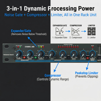 Compresseur/Limiteur Audio Professionnel 166XL, Réducteur de Bruit, Double Canal, Montage en Rack, Processeur Audio, Construction Métallique, Utilisation Scénique, Alimentation CA
