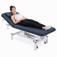 Table de massage électrique à 2 sections, lit de traitement avec dossier réglable, revêtement en PVC, structure métallique pour spa, clinique, hôpital