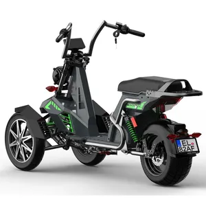 Triciclo elétrico do passageiro Rooder EEC 3 Wheel Scooter elétrico Motocicleta elétrica 2000W 3000W Motocicleta