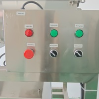 Roestvrijstalen Grote Longan Mango Gele Perzik Dubbele Kanaal Zaadloze En Nucleated Pulping Machine Voor Het Scheiden Van Steenpulp